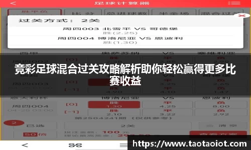 im电竞官网