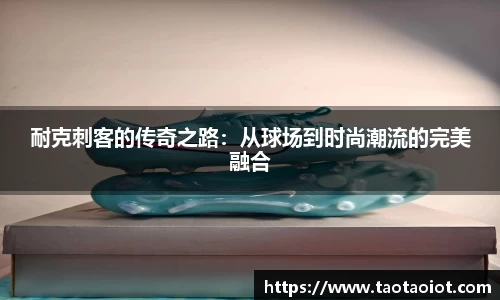 im电竞