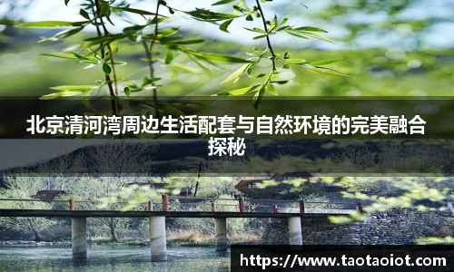 im电竞平台官网