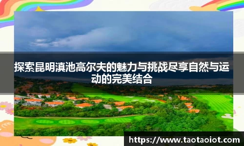 im电竞官网