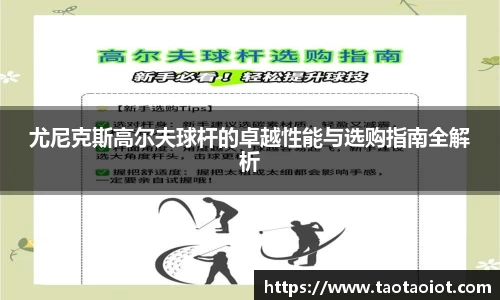 im电竞官网