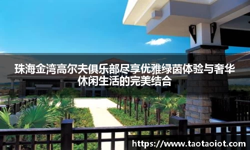 im电竞
