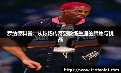 im电竞官网