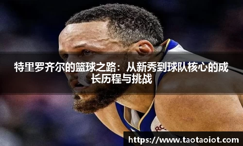 im电竞官网