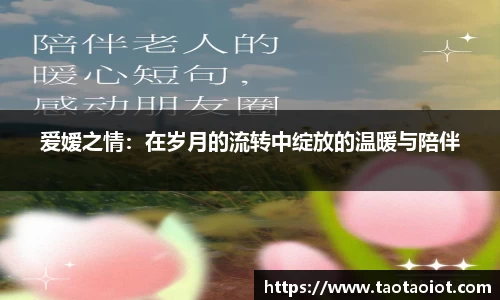 im电竞官网