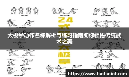 im电竞平台官网