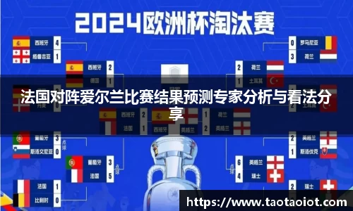 法国对阵爱尔兰比赛结果预测专家分析与看法分享